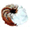 c-cho.gif